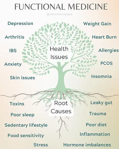 Graphic showing the root causes and health issues covered by functional medicine